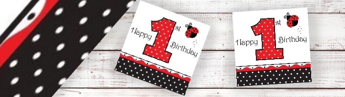 Ladybird 1st Birthday Party Supplies | Balloons | Decorations | Packs